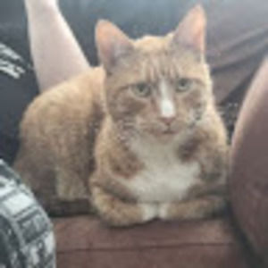 Meet your Posher, Frederick